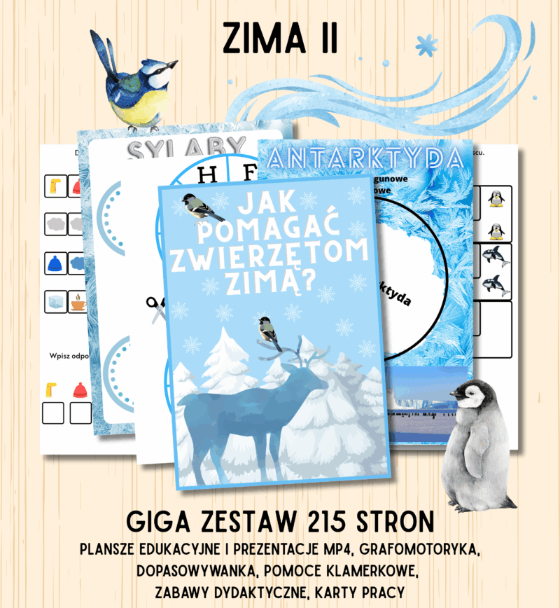 zima ii