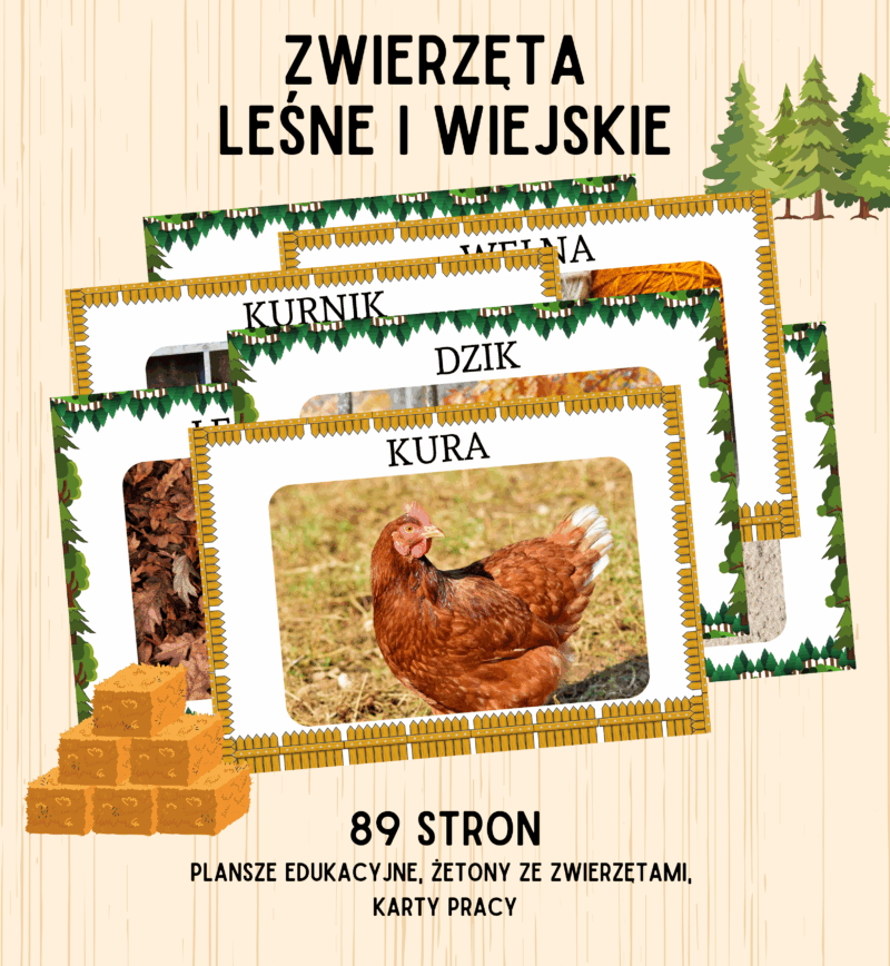 zwierzęta leśne i wiejskie