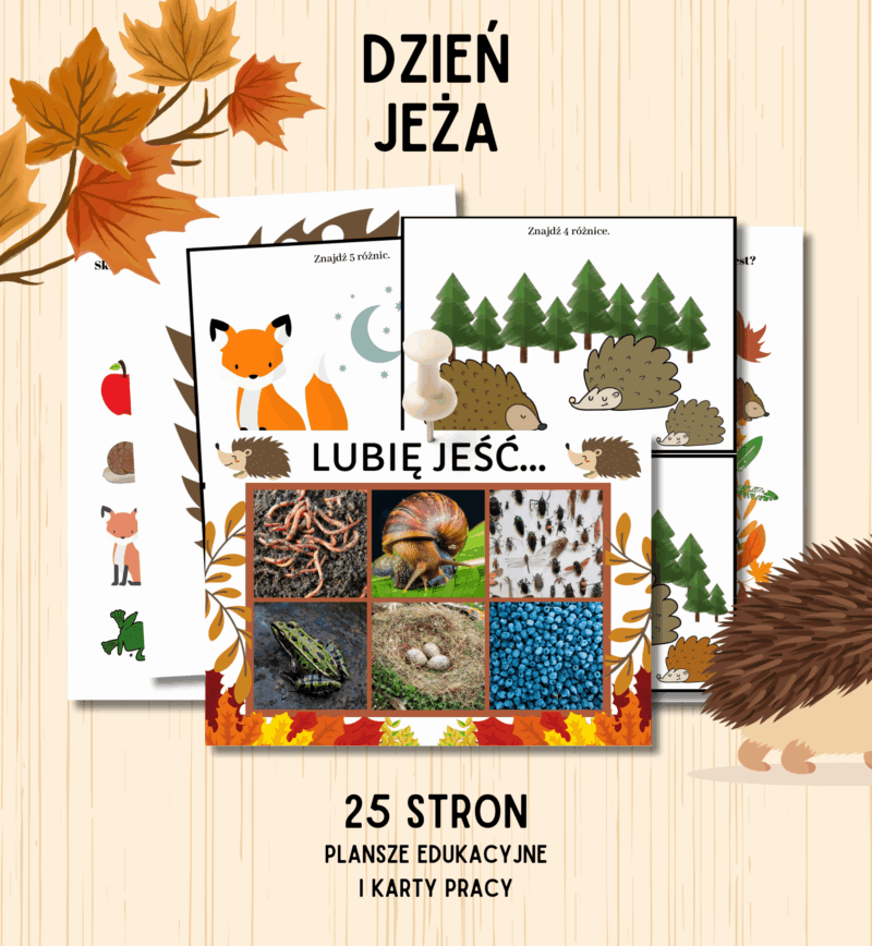 dzień jeża