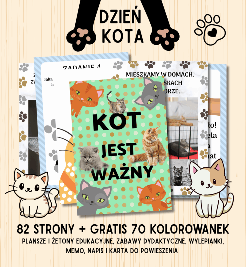 dzień kota