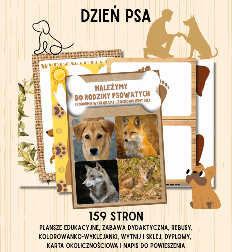 dzień psa
